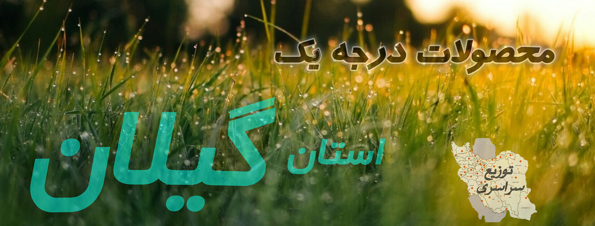 درجه یک به معنای واقعی